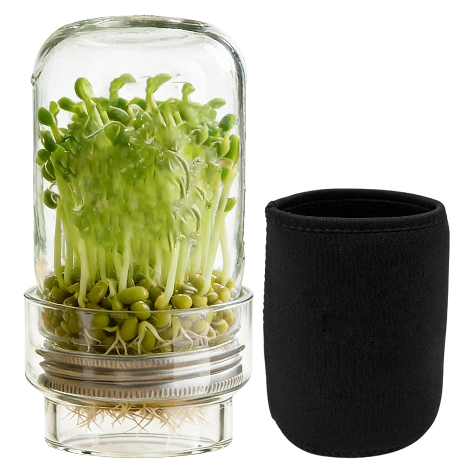 Sprouting Jar Kit Wide Mouth G - Home Cinema Kit recensie en prijs