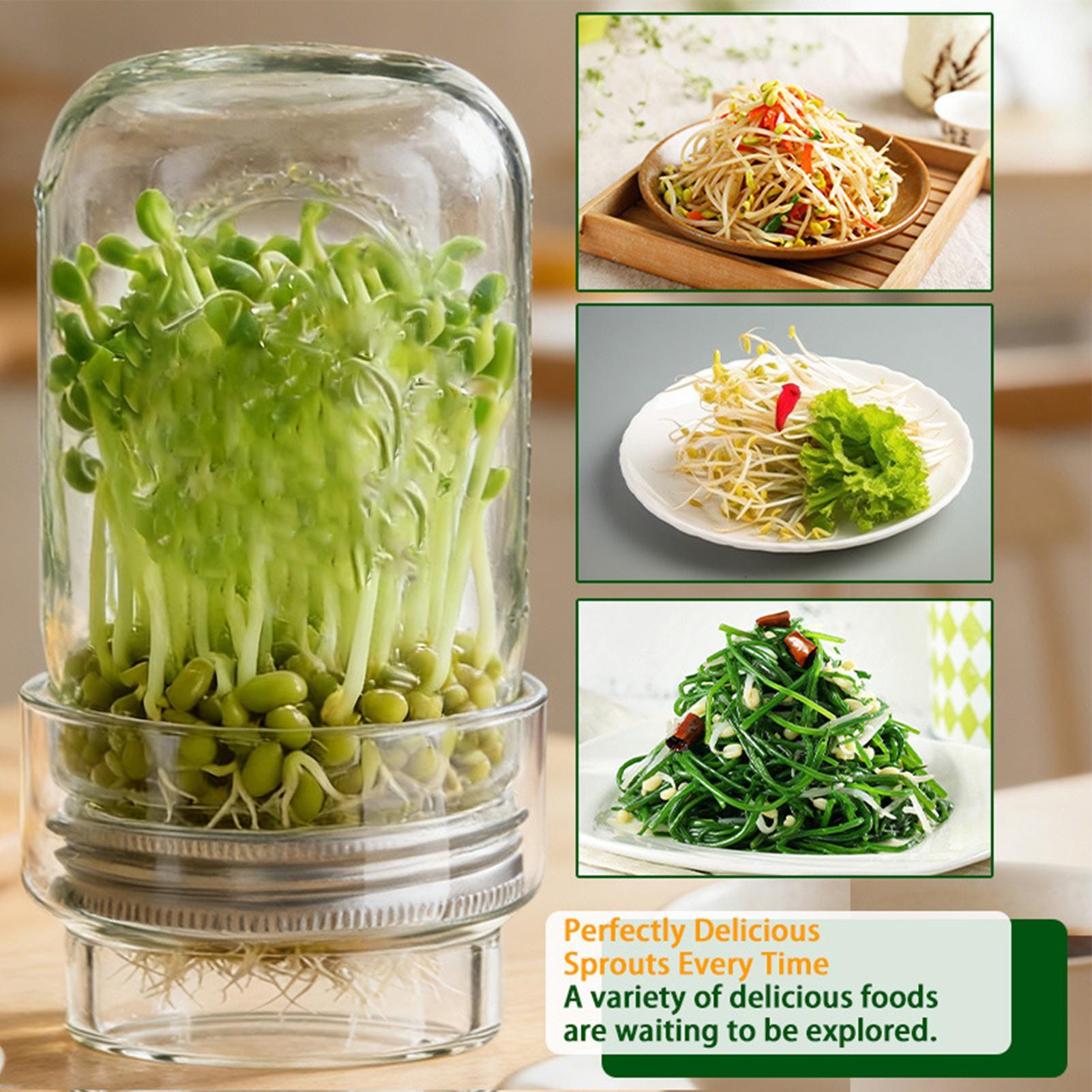 Sprouting Jar Kit Wide Mouth G - Home Cinema Kit recensie en prijs