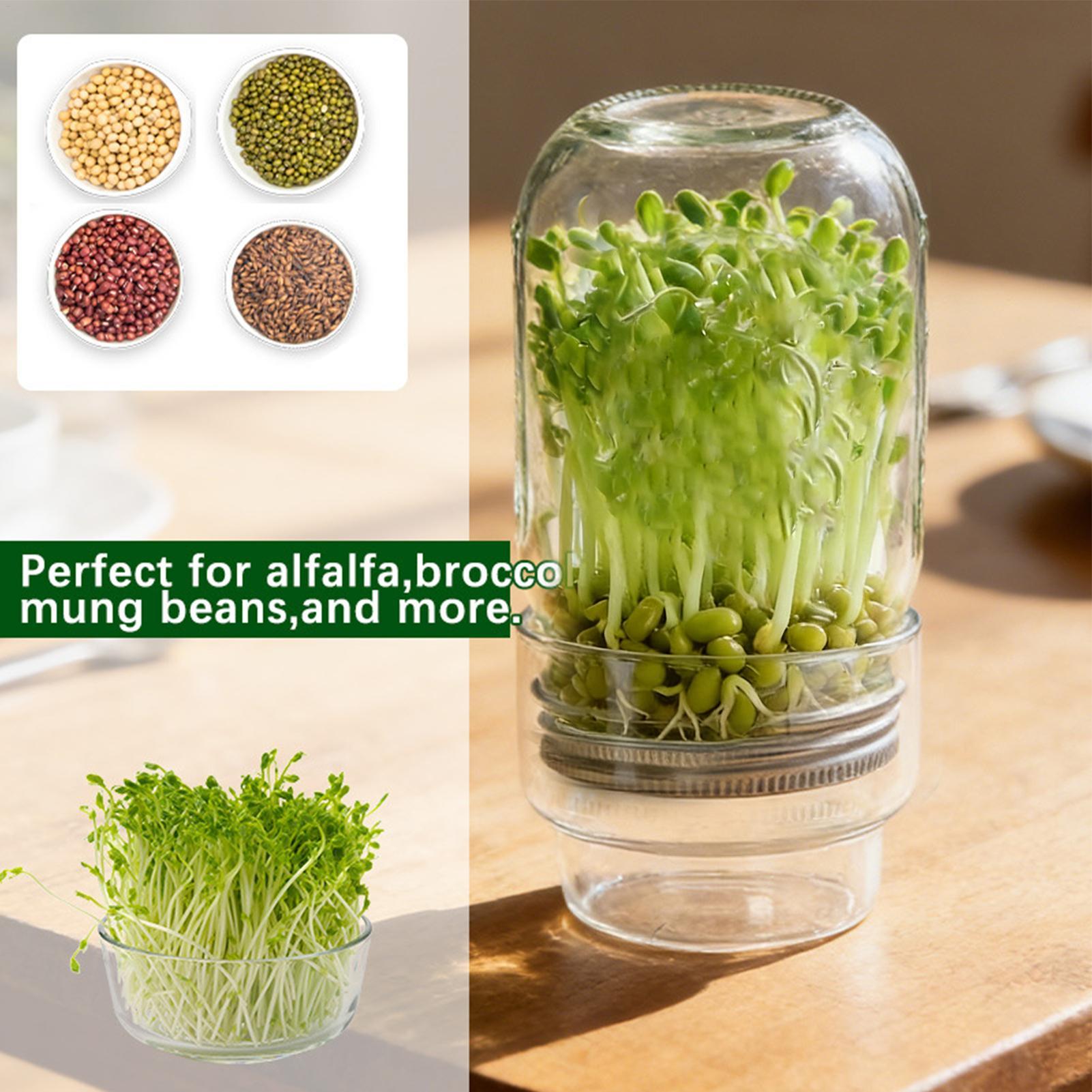 Sprouting Jar Kit Wide Mouth G - Home Cinema Kit recensie en prijs