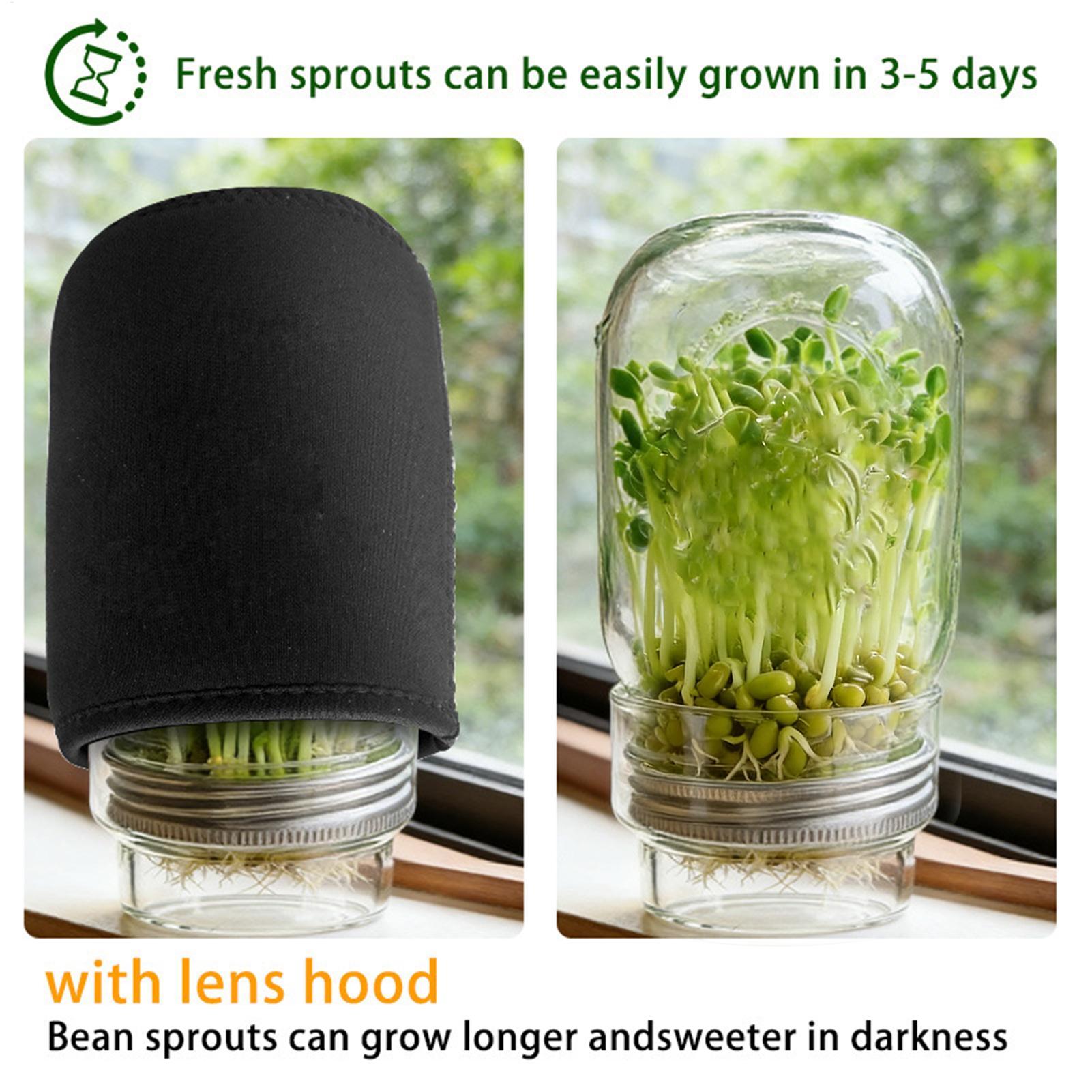 Sprouting Jar Kit Wide Mouth G - Home Cinema Kit recensie en prijs