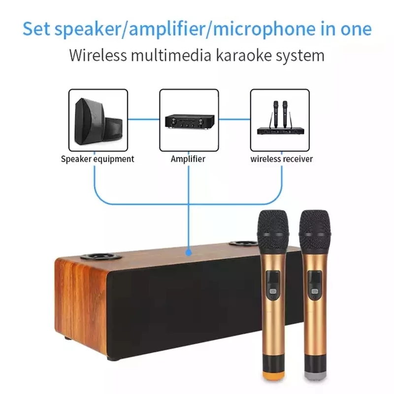 Professional Karaoke Wireless  - Home Cinema Audio System recensie en prijs